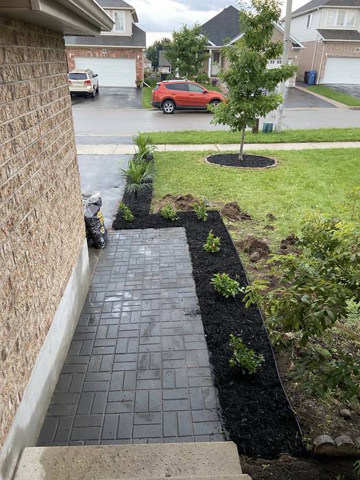 Main Floor Renovation, Kitchen Refresh & Front Landscaping photo 7